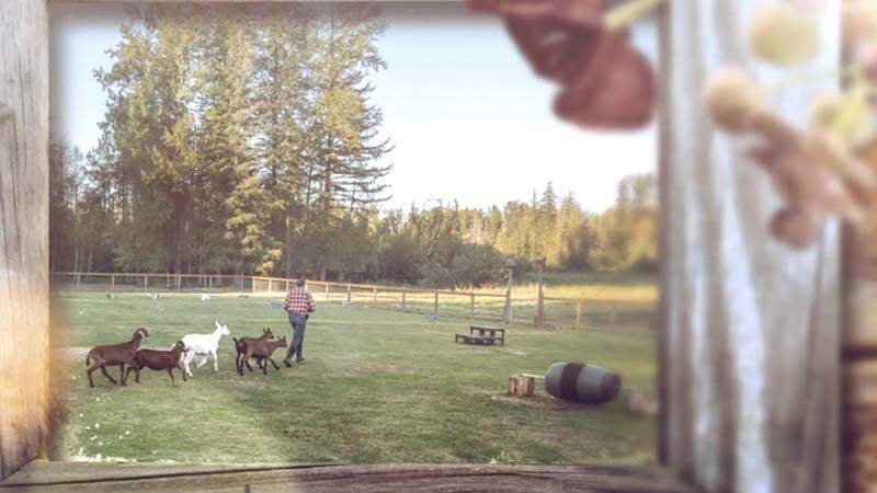 Featured image for “Favorite Moments from 2018 at The Ranch”