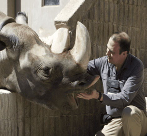 Featured image for “How Exotic Animals Made Me a Better Trainer”