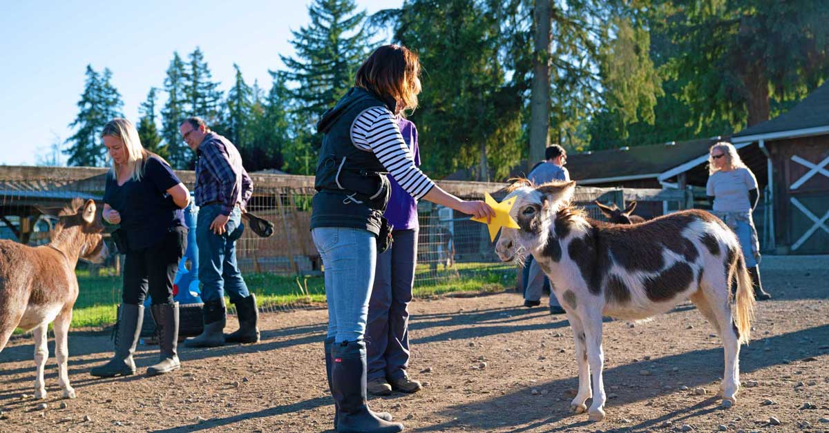 animal-training-classes-facilities-ranch-clicker-training-for-professionals-across-species-featured